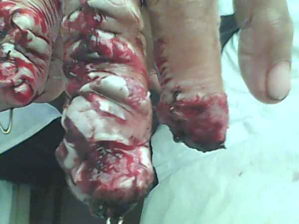 IMG0737A.jpg