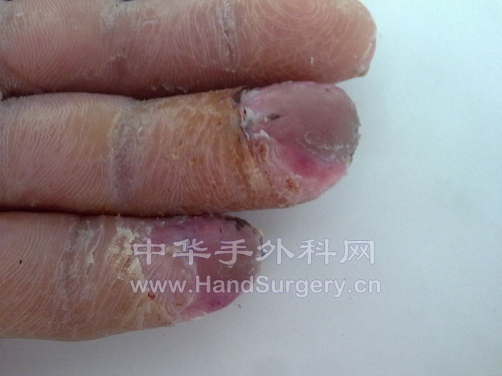 20100731046.jpg