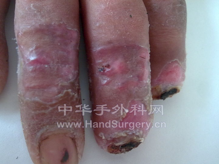 20100731049.jpg