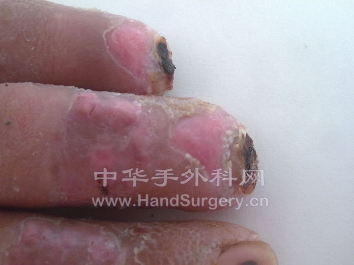 20100731048.jpg