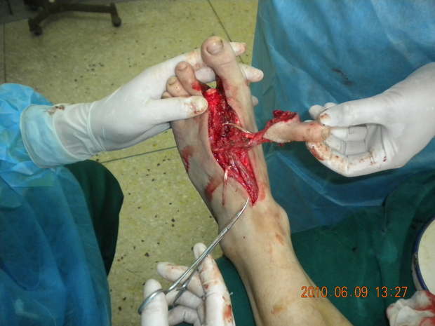 DSCN1466.JPG
