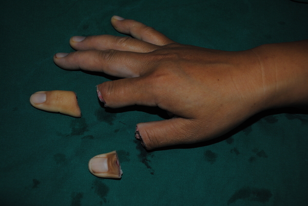 DSC_0493.jpg