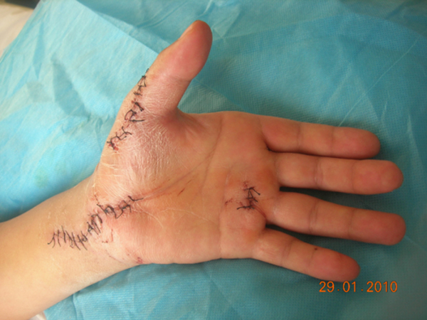 DSCN7579.JPG