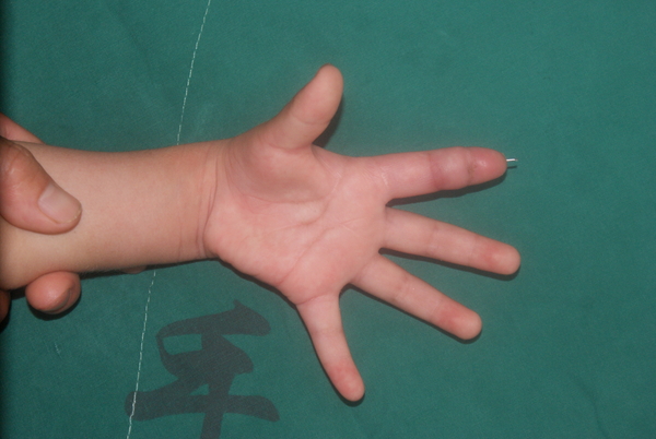 DSC08986.JPG
