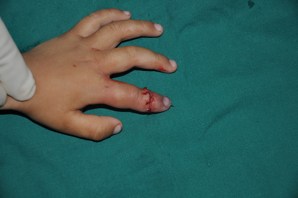DSC_0762.jpg