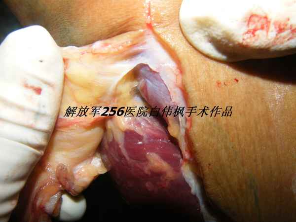 DSCF8546.JPG