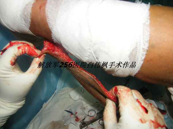 DSCF8551.JPG