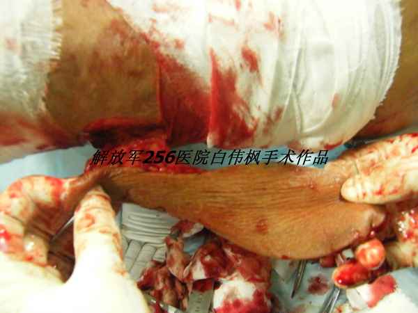 DSCF8562.JPG