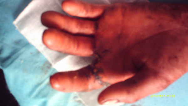 IMAG0040.JPG