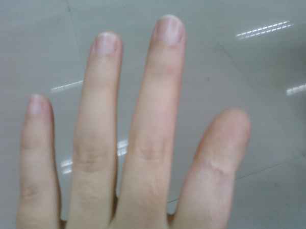 PIC-0005.jpg