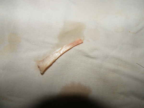 DSCF8048.JPG