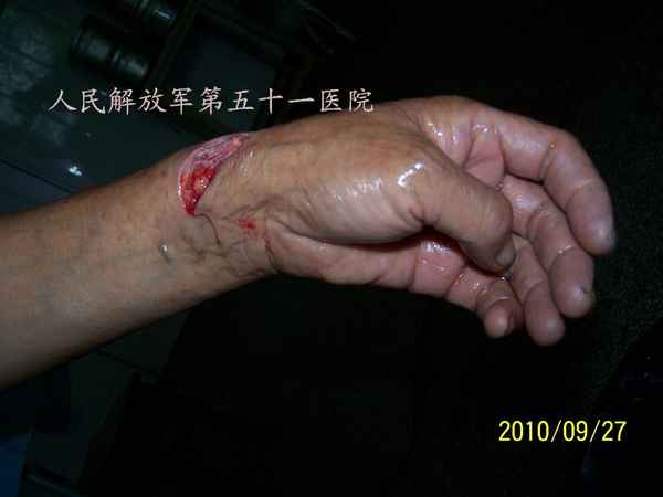 100_9753.JPG