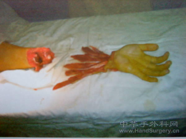 DSC00084.JPG
