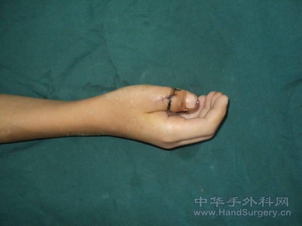DSC03344.JPG