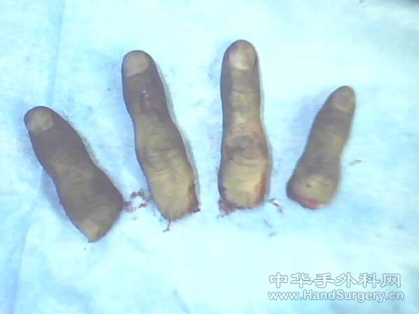 IMG0010A.jpg