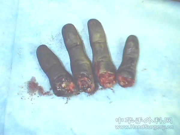 IMG0012A.jpg