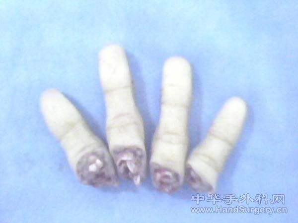 IMG0028A.jpg