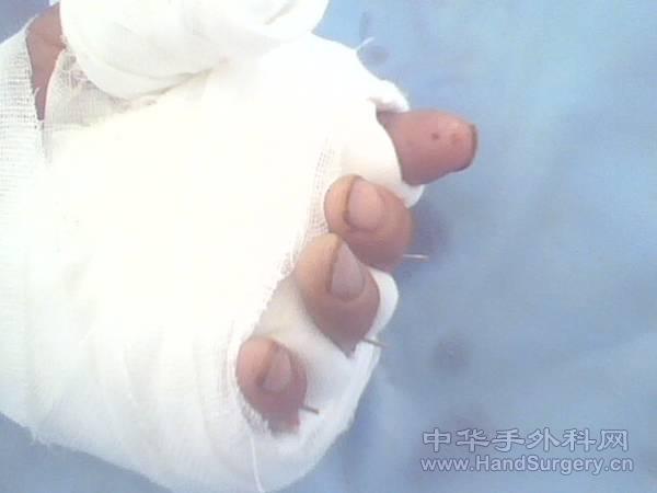 IMG0029A.jpg