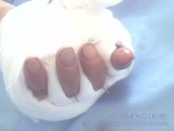 IMG0030A.jpg