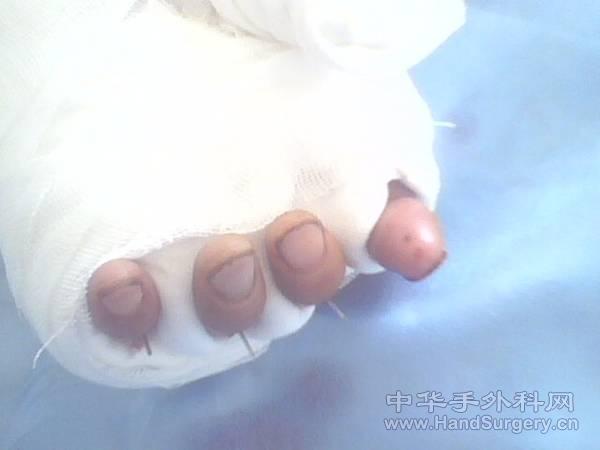 IMG0032A.jpg