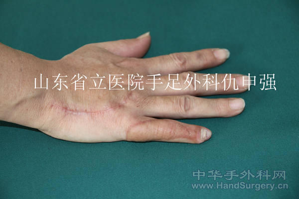 照片 003.jpg