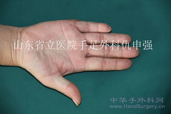 照片 009.jpg