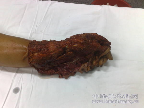 20101019147.jpg