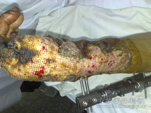 20101031150.jpg