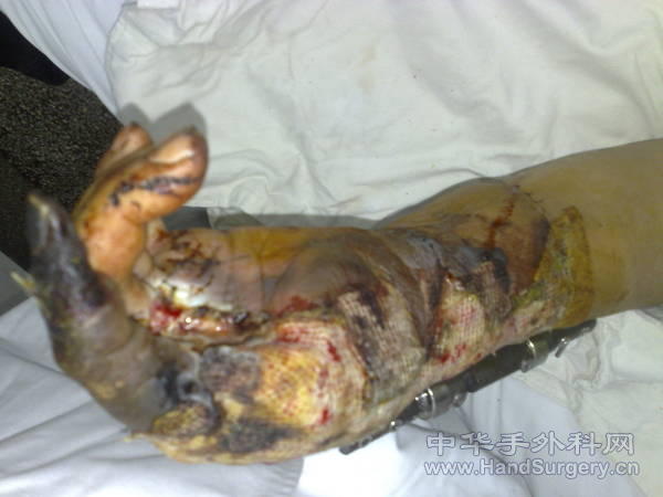 20101031151.jpg