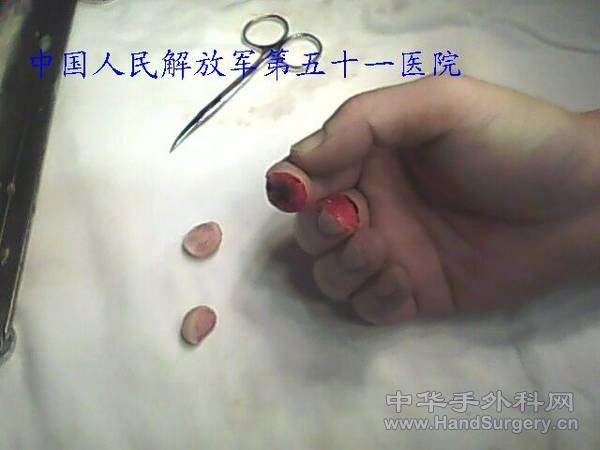 IMG0833A.jpg