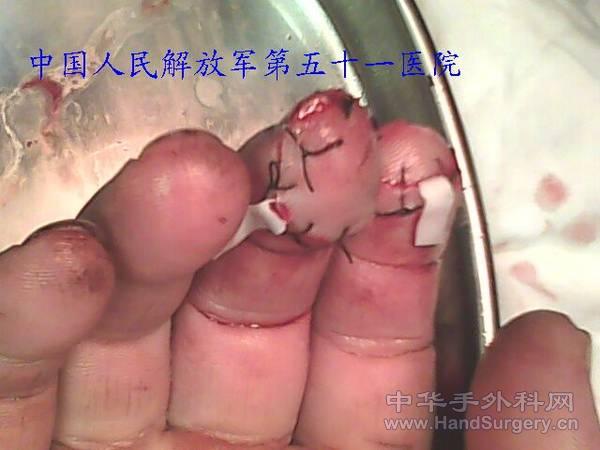 IMG0847A.jpg