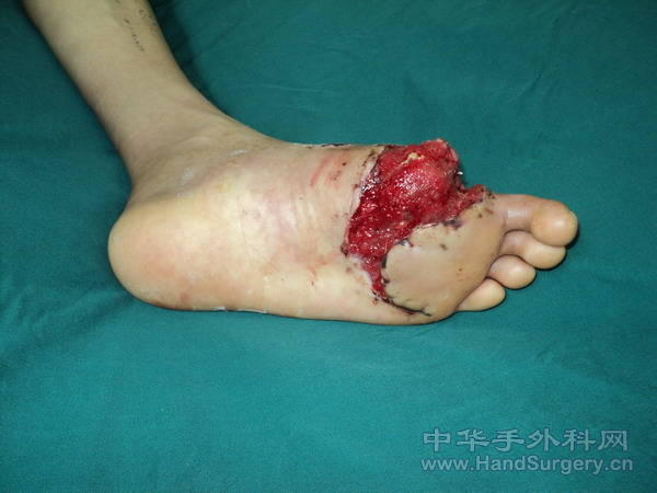 DSC04980.JPG