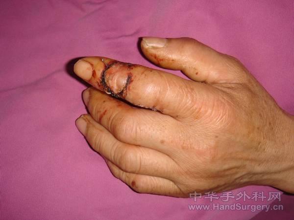 图片5.jpg