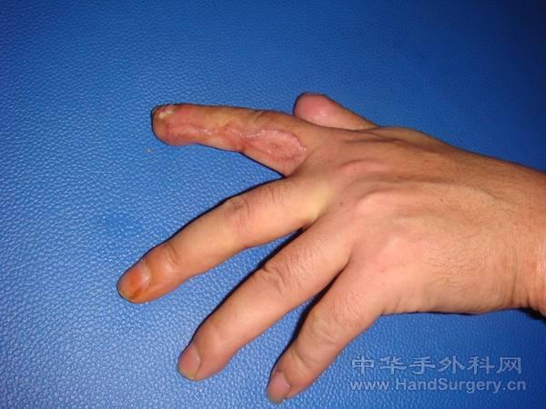 图片20.jpg