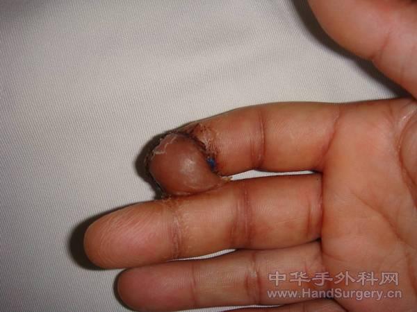 图片6.jpg