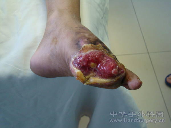 DSC01390.JPG