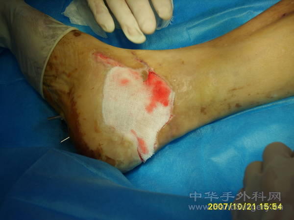 S8000671.JPG