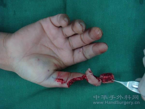 图片30.jpg