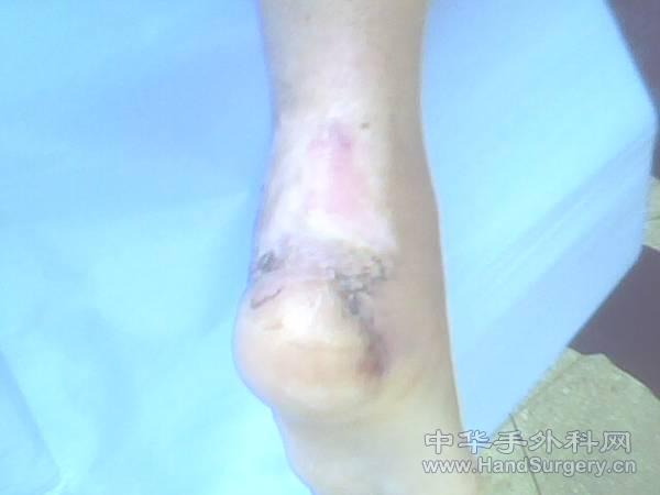 IMG0063A.jpg