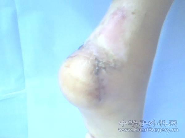 IMG0067A.jpg