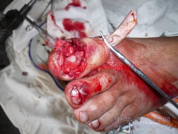 conew_P1090785[1].jpg