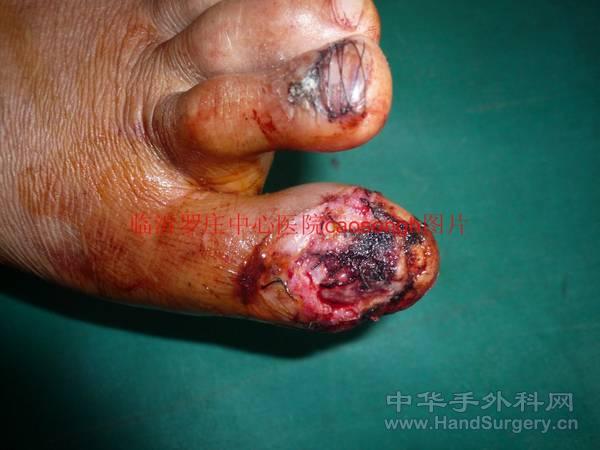 conew_p1090913[1].jpg