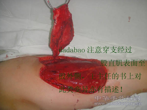 DSC01186.jpg