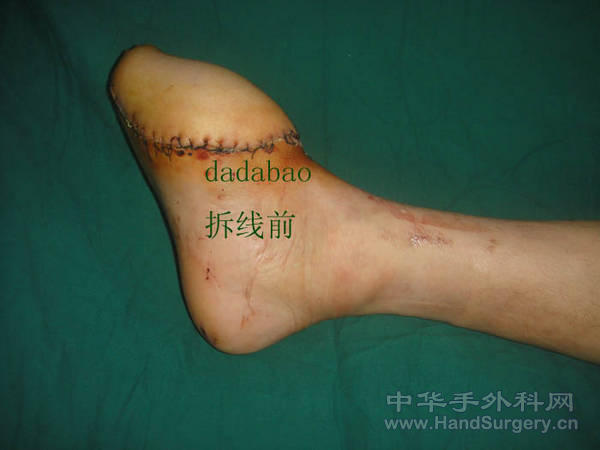 DSC01232.jpg