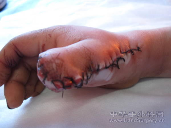 照片 202.jpg