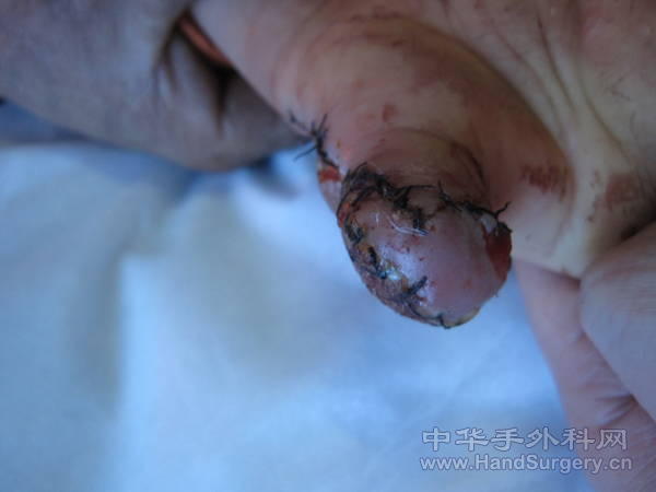照片 205.jpg