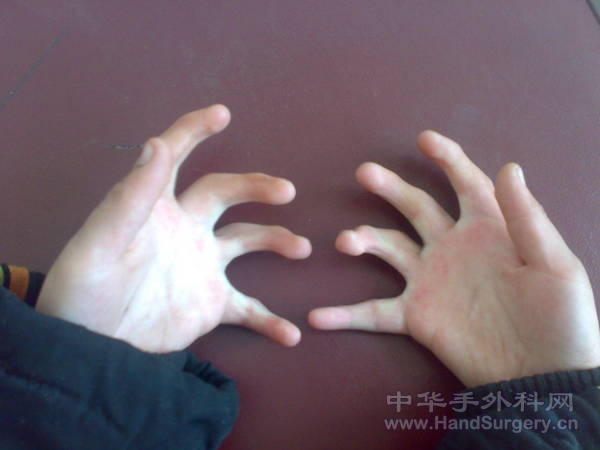 20110113208.jpg