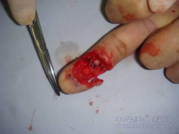 图片27.jpg