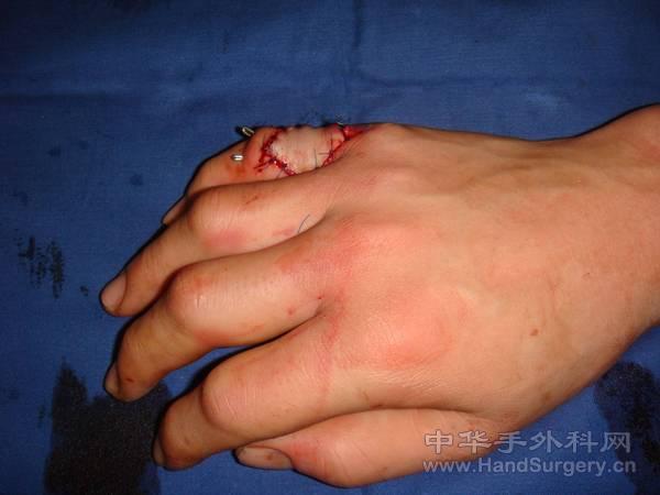 图片37.jpg