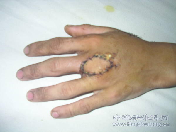 SANY7015.JPG